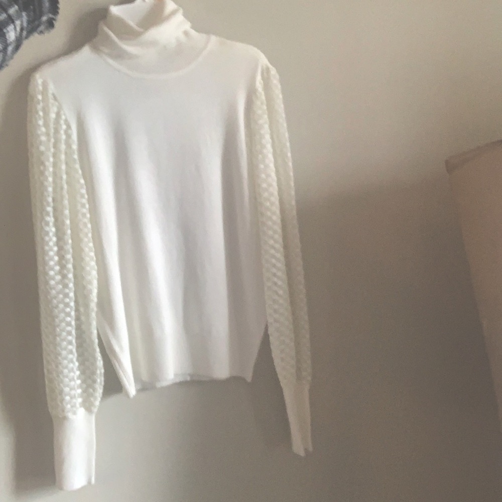 Turtleneck sheer long sleeve sweater shirt